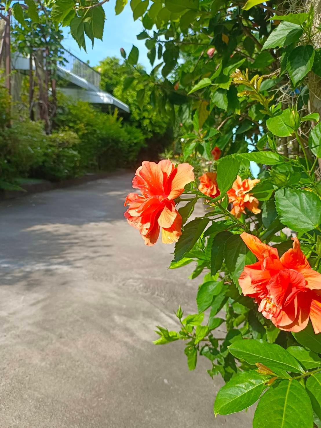 Phannarai House Lamai Beach  Exterior foto