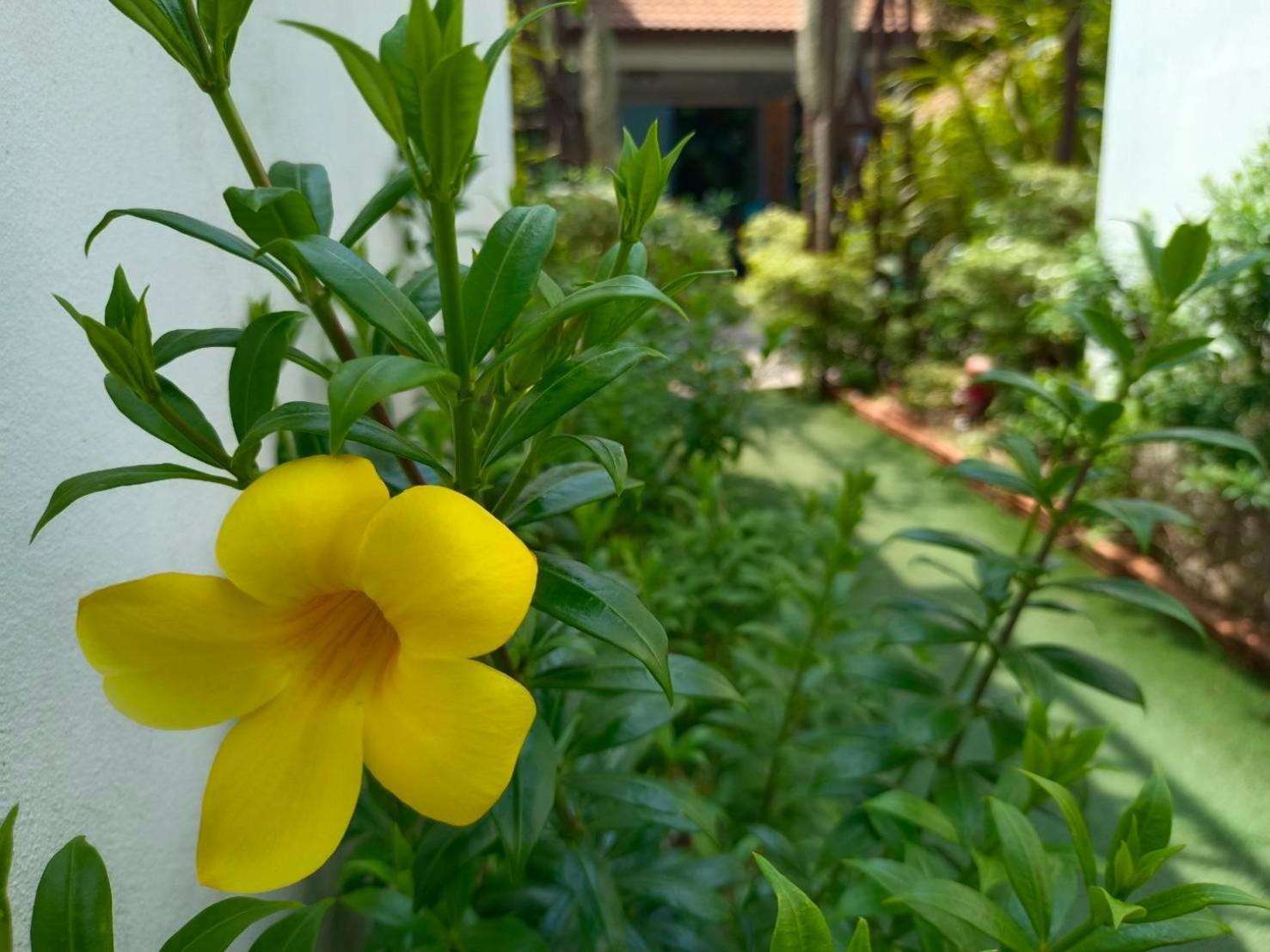 Phannarai House Lamai Beach  Exterior foto